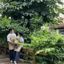스튜디오선심 이미지