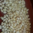 햇빛촌 농원 이미지