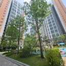 the복공인중개사사무소 이미지