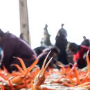 금만시장 이미지