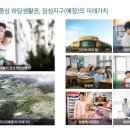 목포석현초등학교 이미지