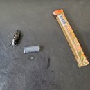 장수하늘소농장 이미지