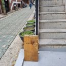 매지크