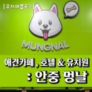 평택 애견카페, 호텔, 애견유치원 : 안중 멍날