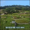 정일당강씨묘 | 새벽 6시부터 시작된 뜨거운 포천 벌초현장ㅣ포천묘지벌초대행 500기ㅣ땀으로 채운 벌초와의 전쟁 현장후기