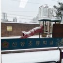 신동초등학교 병설유치원 이미지
