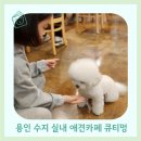 큐티멍 이미지