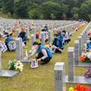 대전 851 대전일보