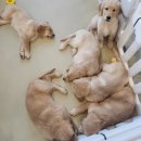 예당 앤 다울 이미지