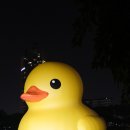덕9 이미지