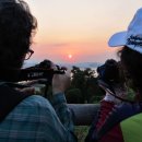 하늘공원 이미지