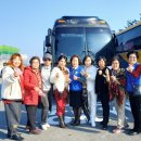 금산종합체육관 이미지