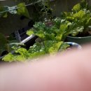 성혁농장 이미지