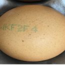 호암농장 이미지