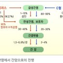 C15 네이버블로그