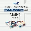 프로지스 이미지