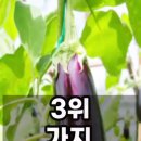 탑식품