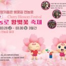전농로의오후 이미지