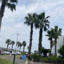 블루스프링리조트 이미지