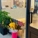 끌레오헤어 이미지