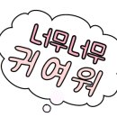 후르츠바스캣 이미지