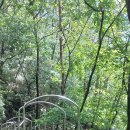 곡성-225 이미지