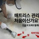 초장동16 | 남천동 자이 아파트 매트리스 진드기 오줌 오염 청소 _매트리스 살균 건조 후기