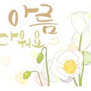 골드바니 네이버블로그