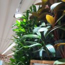 무학숲도서관 이미지