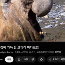 아시아가라오케노래연습장 | 갑자기 여름이 됐어요: 당황스러운 이야기