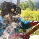 대월 양봉 이미지