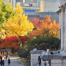 덕수궁 돌담길&amp;정보 이미지