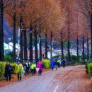 작은소풍 이미지