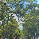 보성한우 직판장 이미지