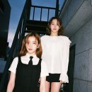 비주얼맵스