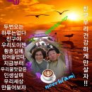 🌋가평 수목원 오색등불🌋 이미지