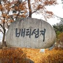 배티로 이미지