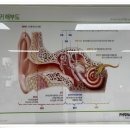 독일보청기 태평센터 이미지