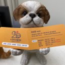스무해 동물병원 이미지