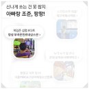 팡팡게임존 이미지