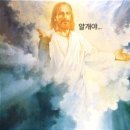 오키도키찜닭 - 남구 안지랑로5길 65 | 오키도키찜닭