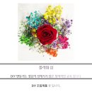 아두정복