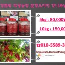 문경몰 이미지