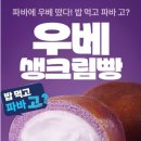 파리바게뜨우 | 파리바게뜨 신상 우베생크림빵 내돈내산후기(+우베 뜻부터 할인정보까지)