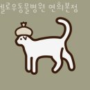 헬로우 동물병원 이미지