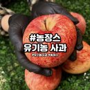 달콤한 사과이야기 | 산지직송 농장스 사과 아삭하고 달콤한 사과 후기