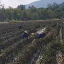 입암면사무소 이미지