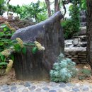 초원의집 이미지