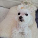 김태화동물병원 이미지