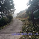 원촌주유소 이미지